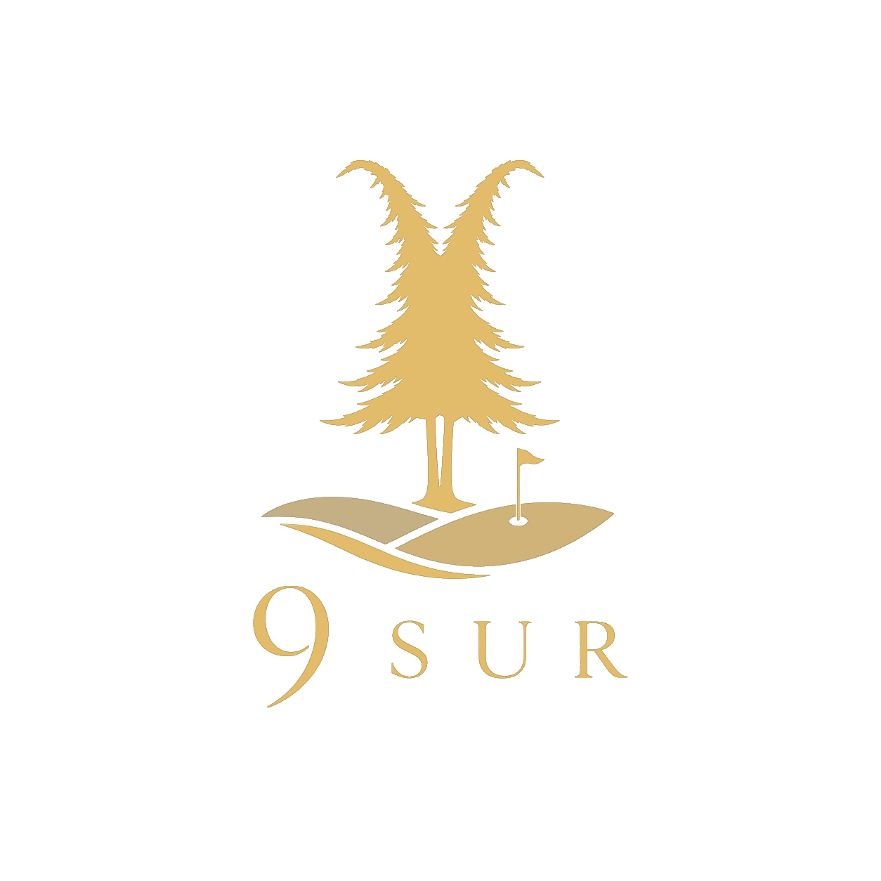 9sur